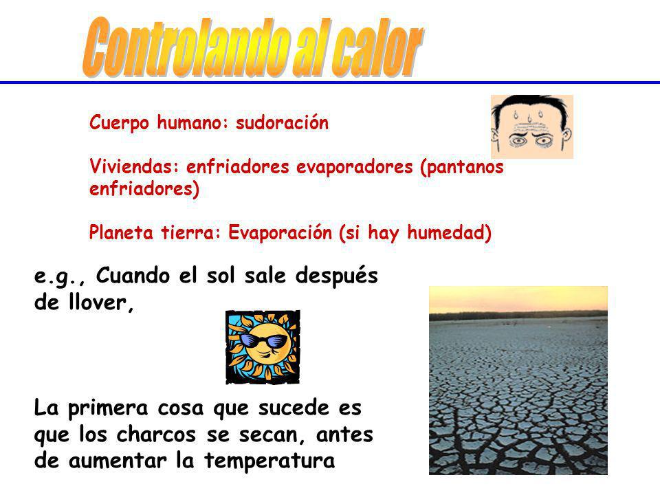 Controlando al calor e.g., Cuando el sol sale después de llover,