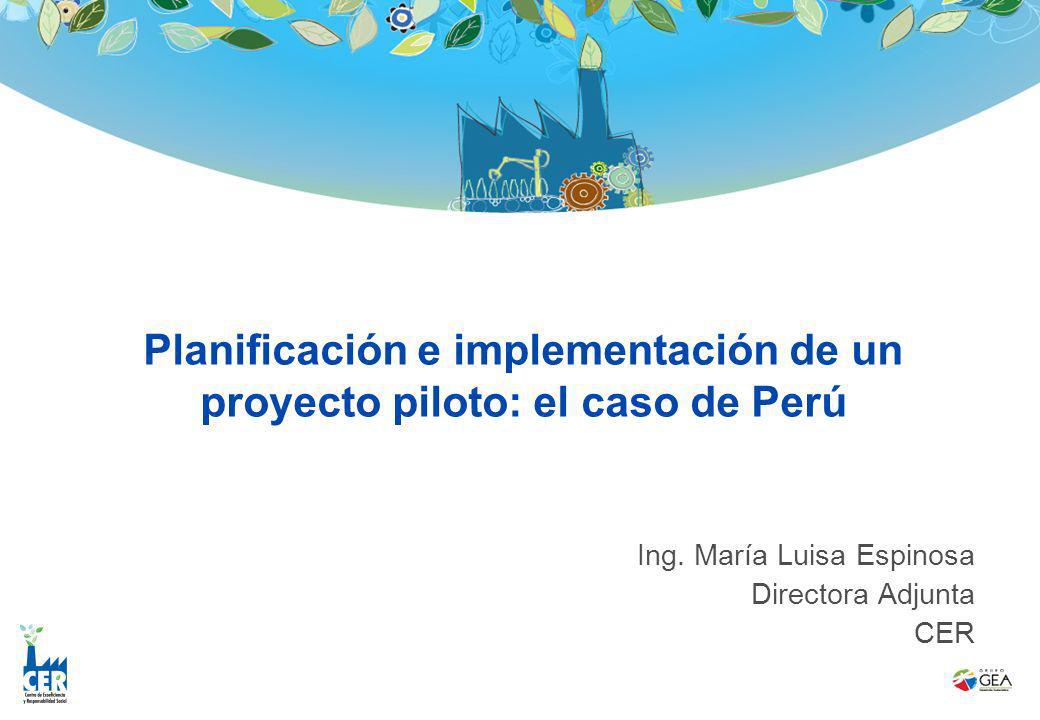 Planificación e implementación de un proyecto piloto: el caso de Perú