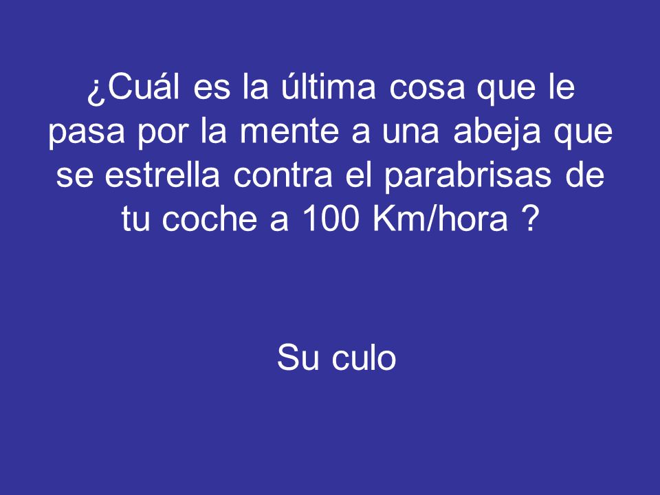 ¿Cuál es la última cosa que le pasa por la mente a una abeja que se estrella contra el parabrisas de tu coche a 100 Km/hora