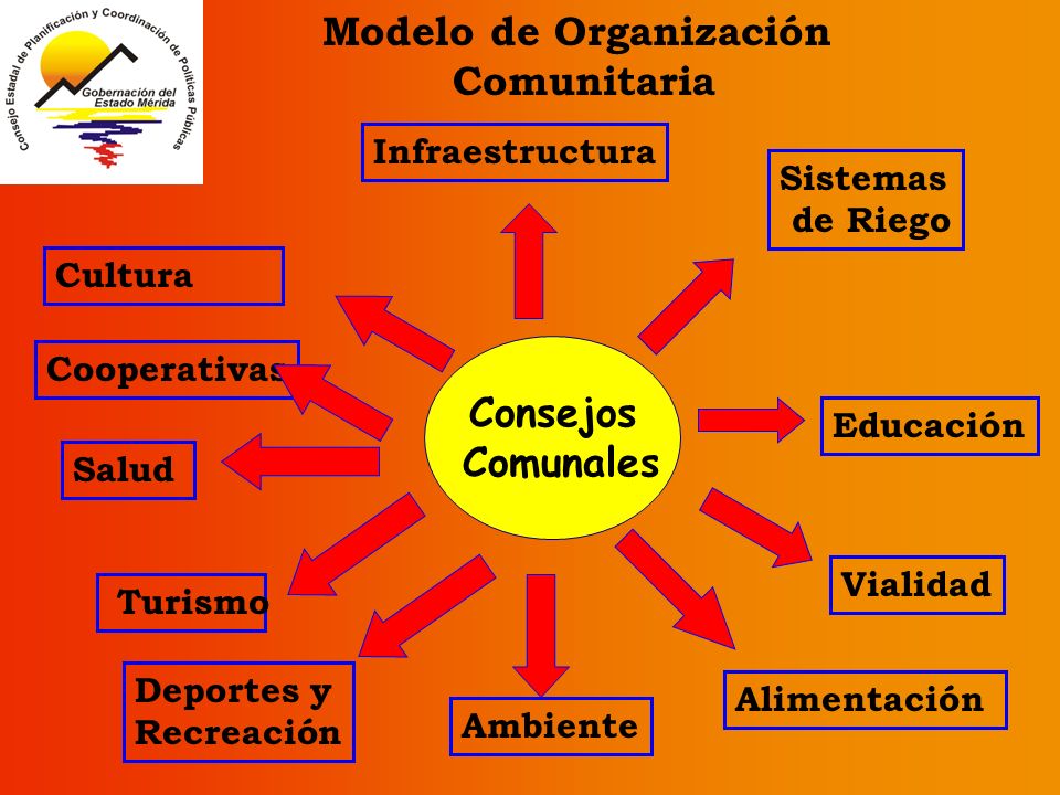 Modelo de Organización