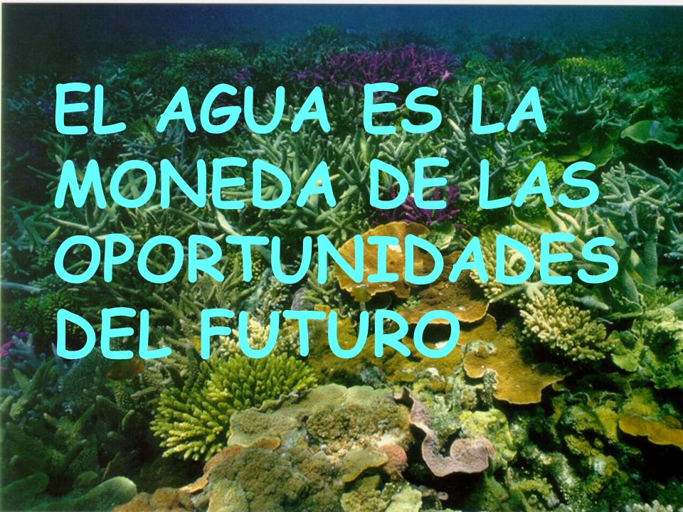 EL AGUA ES LA MONEDA DE LAS OPORTUNIDADES DEL FUTURO
