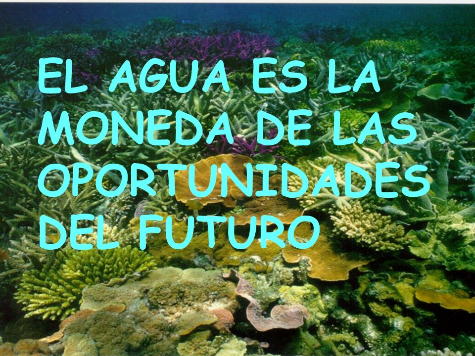 EL AGUA ES LA MONEDA DE LAS OPORTUNIDADES DEL FUTURO
