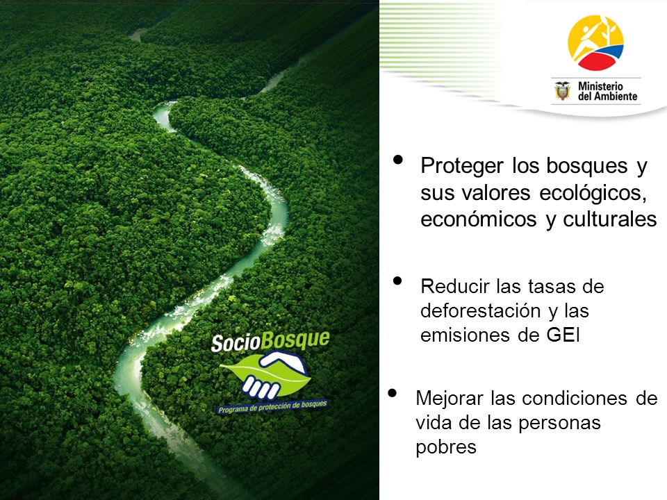 Proteger los bosques y sus valores ecológicos, económicos y culturales