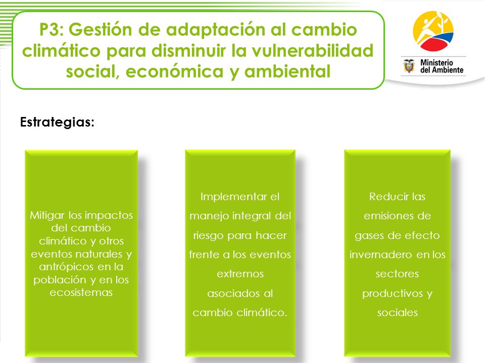 P3: Gestión de adaptación al cambio climático para disminuir la vulnerabilidad social, económica y ambiental