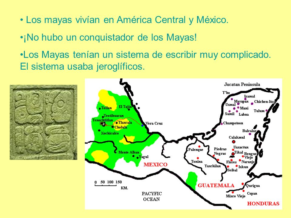 Los mayas vivían en América Central y México.