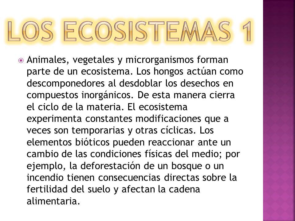 Los ecosistemas 1