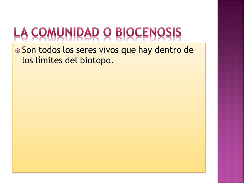 La comunidad o biocenosis
