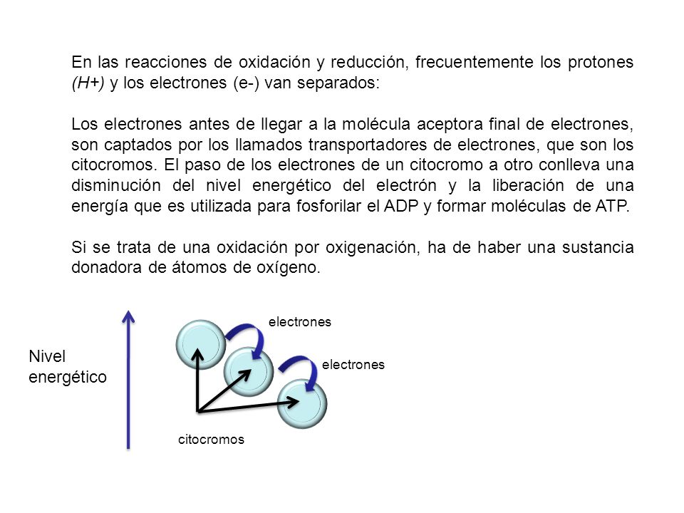 En las reacciones de oxidación y reducción, frecuentemente los protones (H+) y los electrones (e-) van separados: