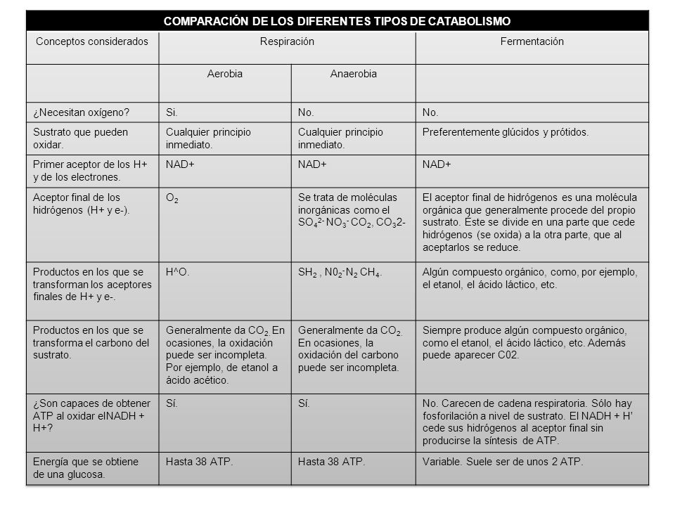 COMPARACIÓN DE LOS DIFERENTES TIPOS DE CATABOLISMO