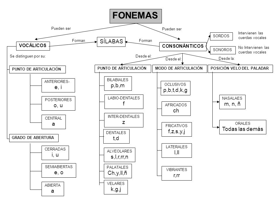 FONEMAS SÍLABAS p,b,m e, i p,b,t,d,k,g f m, n, ñ o, u ch z a