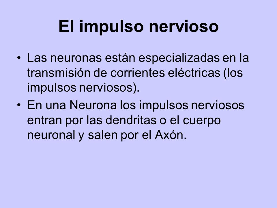 El impulso nervioso Las neuronas están especializadas en la transmisión de corrientes eléctricas (los impulsos nerviosos).