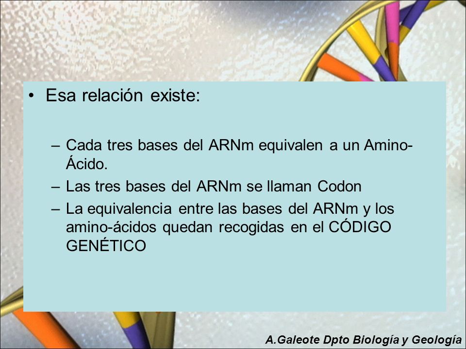 Esa relación existe: Cada tres bases del ARNm equivalen a un Amino-Ácido. Las tres bases del ARNm se llaman Codon.