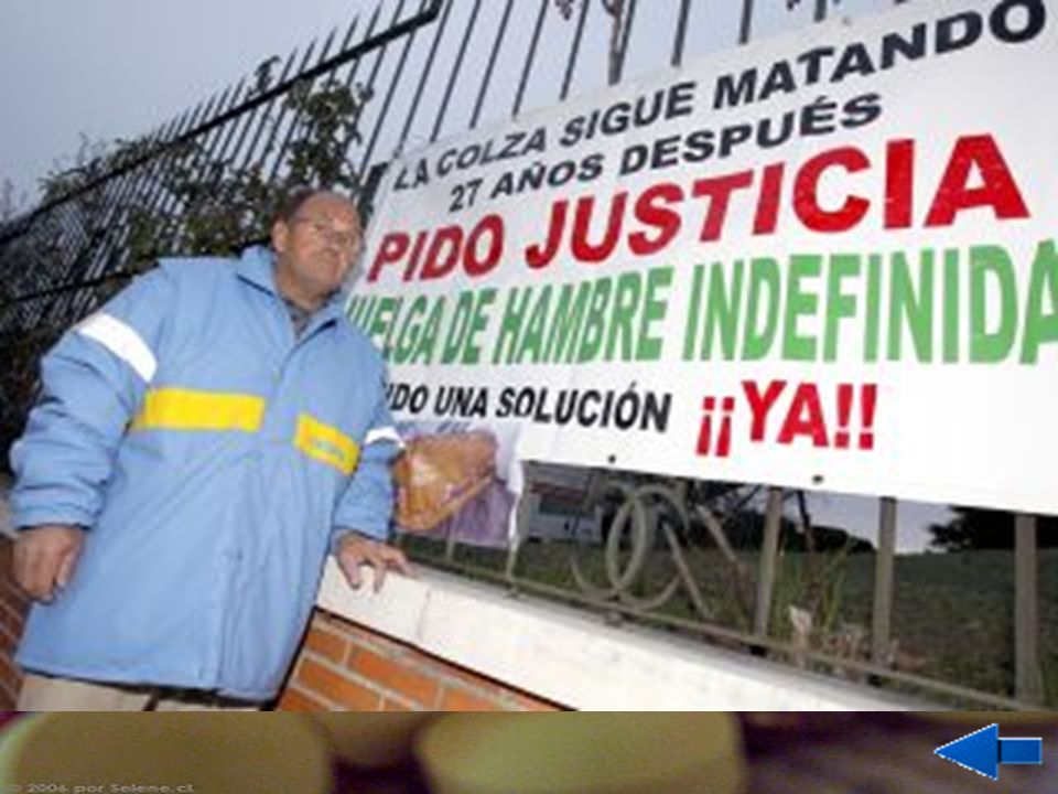 La contaminación de los alimentos se debe a la presencia de diversas sustancias en los alimentos: metales pesados, dioxinas, plaguicidas, hormonas, exceso de aditivos alimentarios…