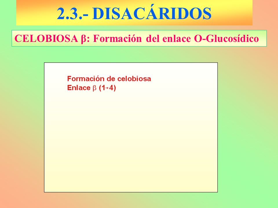 2.3.- DISACÁRIDOS CELOBIOSA β: Formación del enlace O-Glucosídico