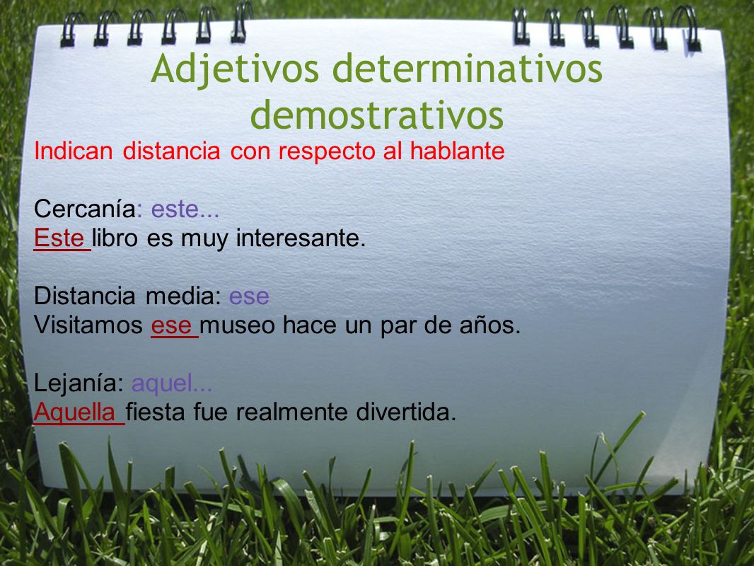 Adjetivos determinativos demostrativos