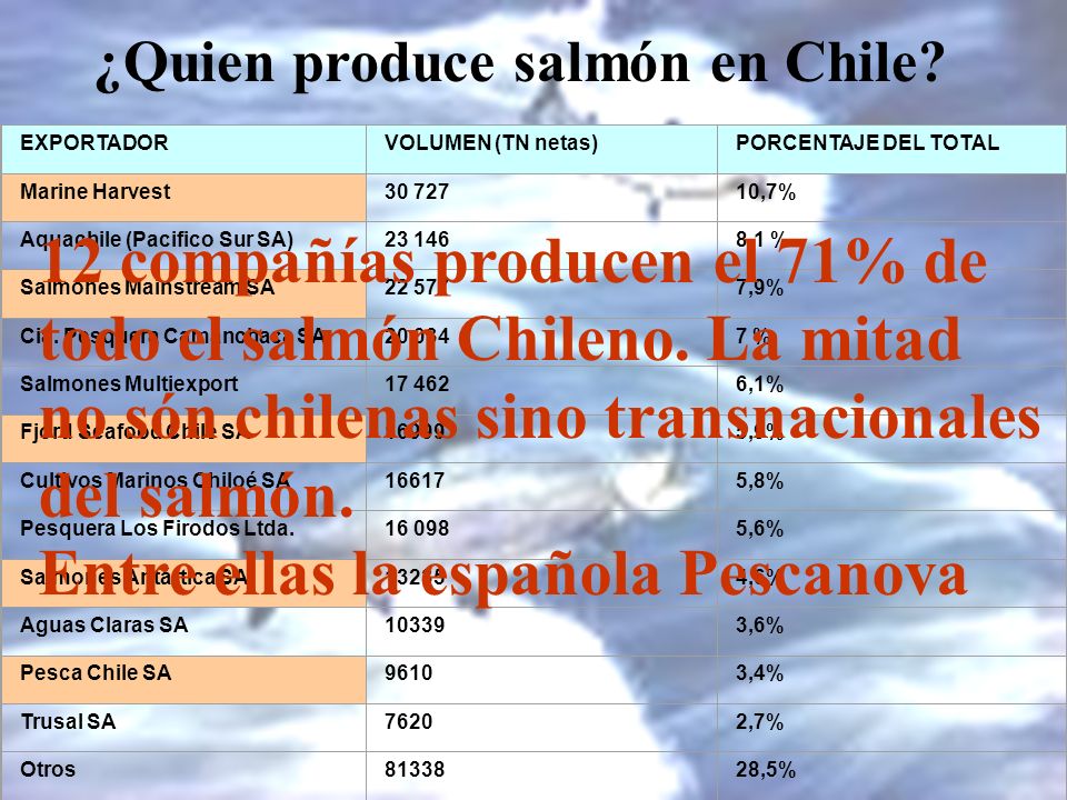 12 compañías producen el 71% de todo el salmón Chileno. La mitad