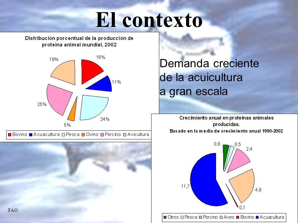 El contexto Demanda creciente de la acuicultura a gran escala FAO