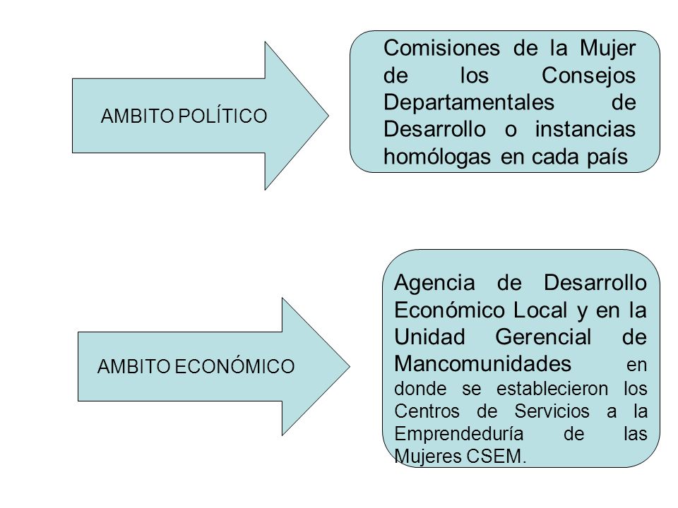 Comisiones de la Mujer de los Consejos Departamentales de Desarrollo o instancias homólogas en cada país