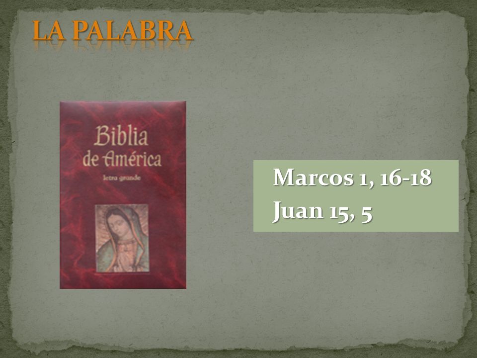 LA PALABRA Marcos 1, Juan 15, 5