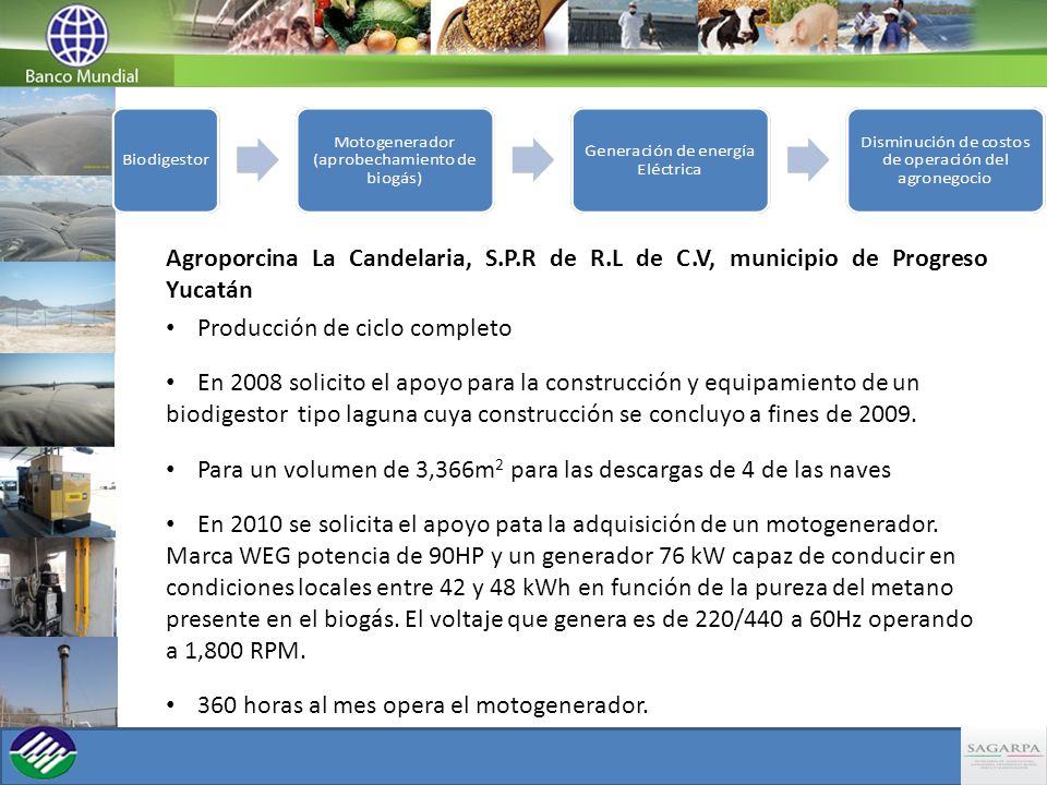 Agroporcina La Candelaria, S. P. R de R. L de C