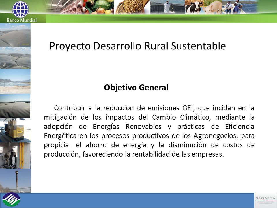 Proyecto Desarrollo Rural Sustentable