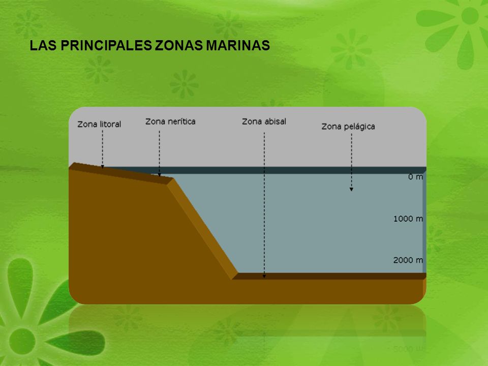 LAS PRINCIPALES ZONAS MARINAS