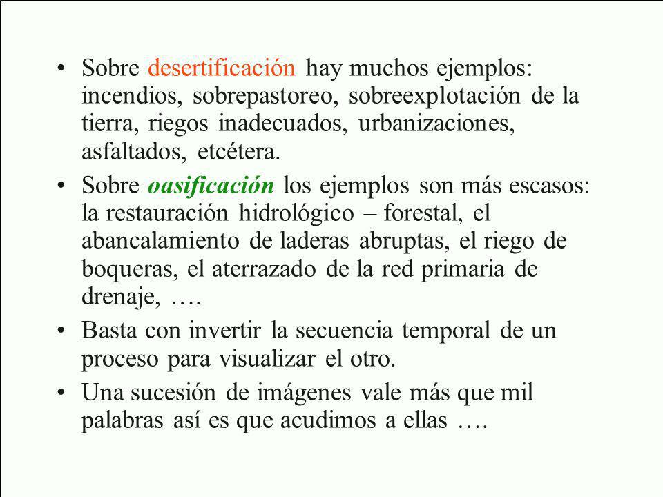 Sobre desertificación hay muchos ejemplos: incendios, sobrepastoreo, sobreexplotación de la tierra, riegos inadecuados, urbanizaciones, asfaltados, etcétera.