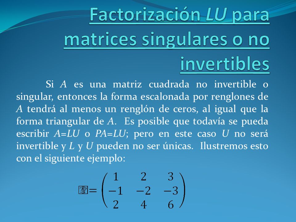 Factorización LU para matrices singulares o no invertibles