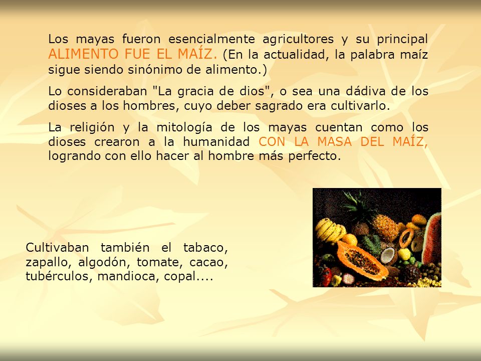 Los mayas fueron esencialmente agricultores y su principal ALIMENTO FUE EL MAÍZ. (En la actualidad, la palabra maíz sigue siendo sinónimo de alimento.)