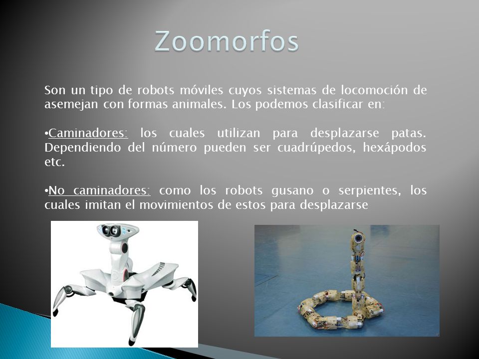 Zoomorfos Son un tipo de robots móviles cuyos sistemas de locomoción de asemejan con formas animales. Los podemos clasificar en:
