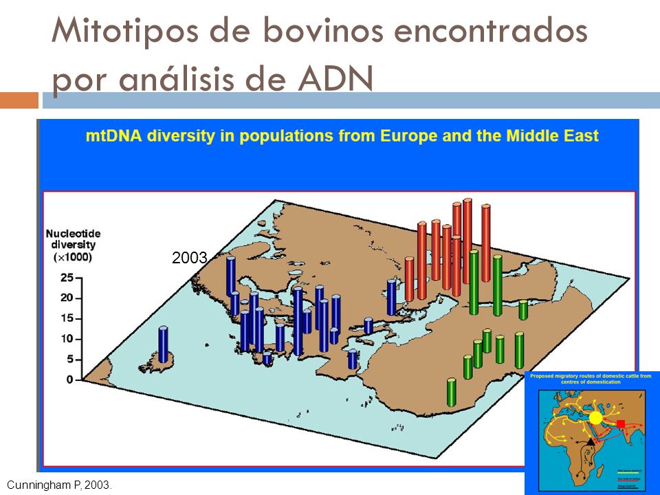 Mitotipos de bovinos encontrados por análisis de ADN