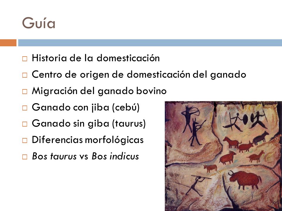 Guía Historia de la domesticación