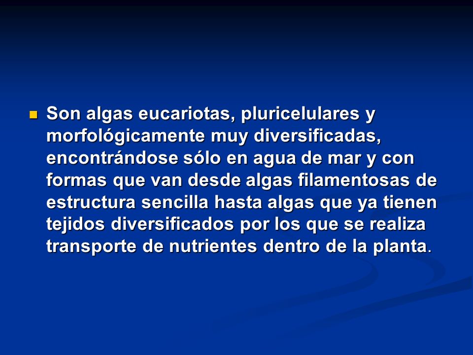 Son algas eucariotas, pluricelulares y morfológicamente muy diversificadas, encontrándose sólo en agua de mar y con formas que van desde algas filamentosas de estructura sencilla hasta algas que ya tienen tejidos diversificados por los que se realiza transporte de nutrientes dentro de la planta.