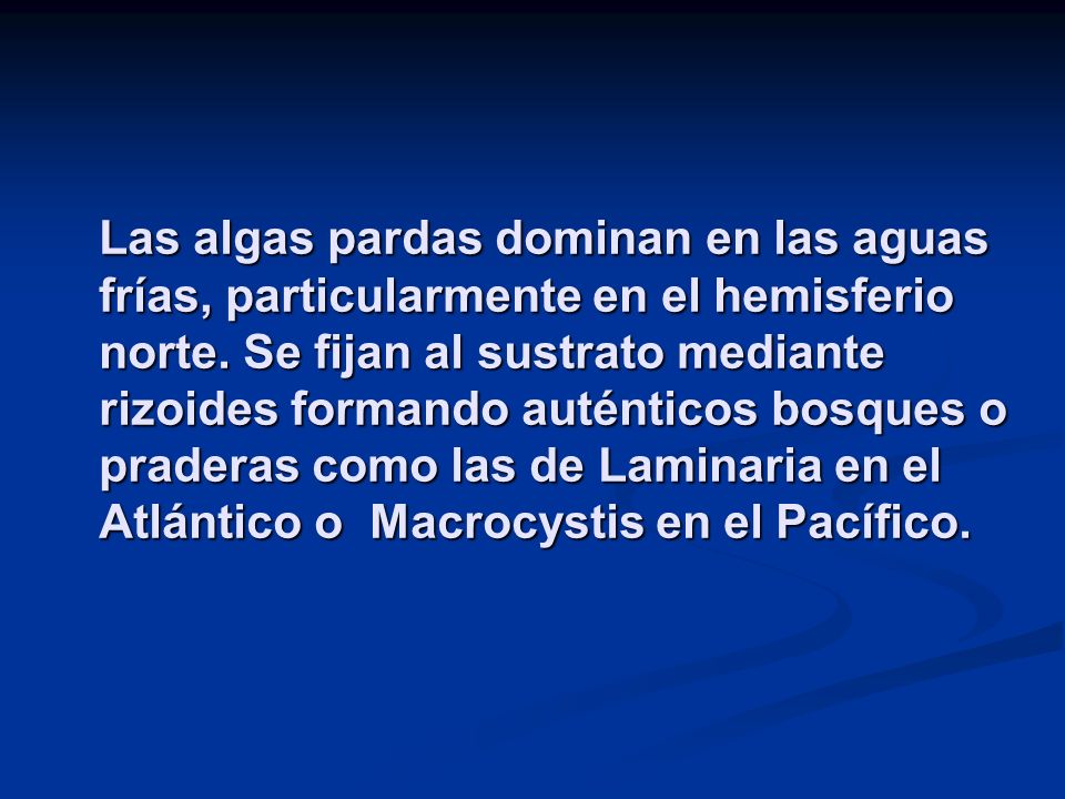 Las algas pardas dominan en las aguas frías, particularmente en el hemisferio norte.
