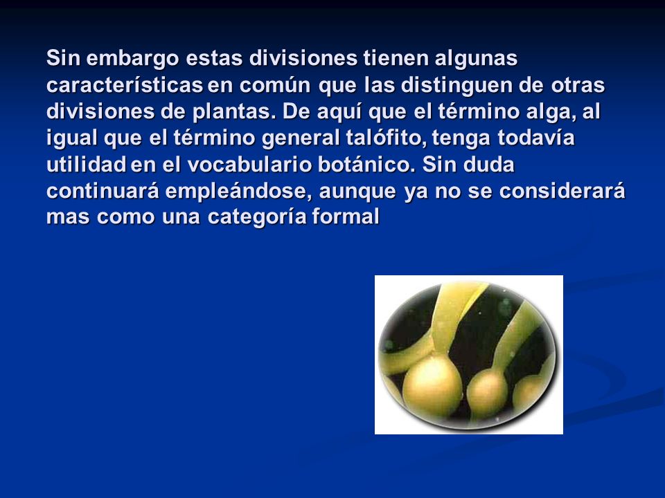 Sin embargo estas divisiones tienen algunas características en común que las distinguen de otras divisiones de plantas.