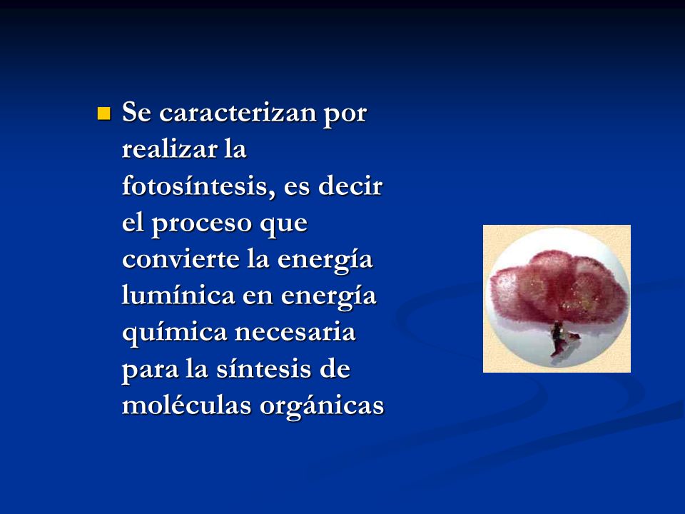 Se caracterizan por realizar la fotosíntesis, es decir el proceso que convierte la energía lumínica en energía química necesaria para la síntesis de moléculas orgánicas