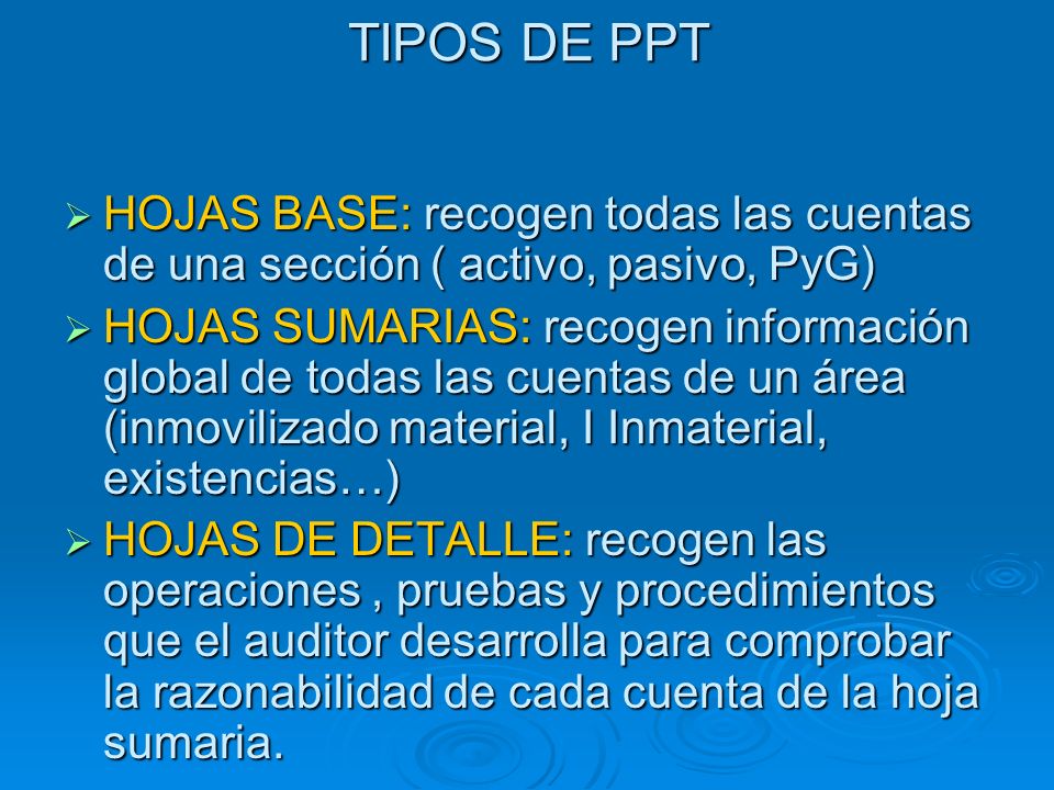 TIPOS DE PPT HOJAS BASE: recogen todas las cuentas de una sección ( activo, pasivo, PyG)