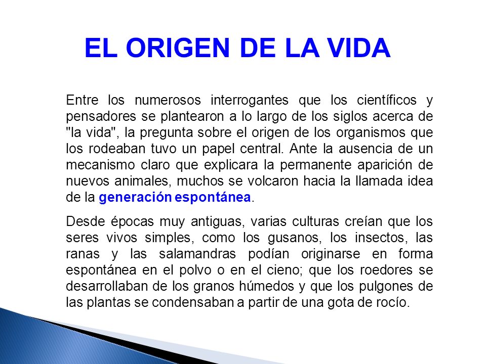 EL ORIGEN DE LA VIDA