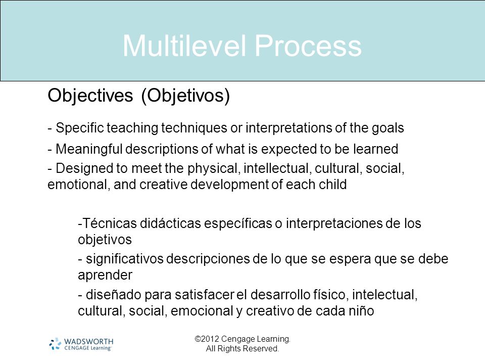 Multilevel Process Objectives (Objetivos) - Specific teaching techniques or interpretations of the goals.
