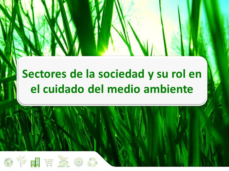 Sectores de la sociedad y su rol en el cuidado del medio ambiente