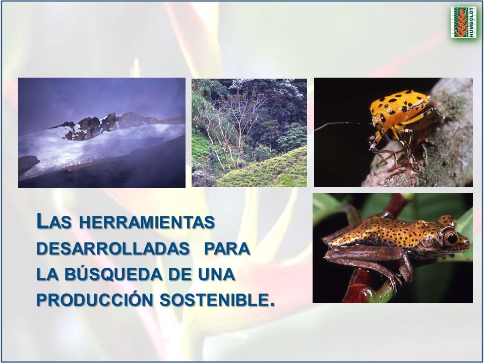 Las herramientas desarrolladas para la búsqueda de una producción sostenible.