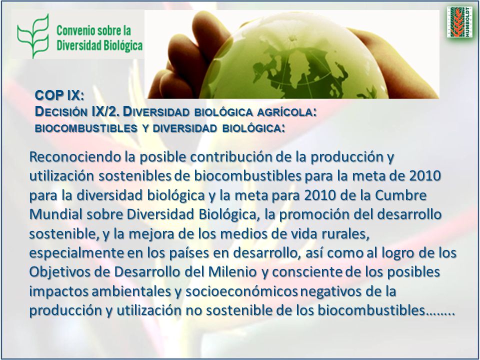 COP IX: Decisión IX/2. Diversidad biológica agrícola: biocombustibles y diversidad biológica: