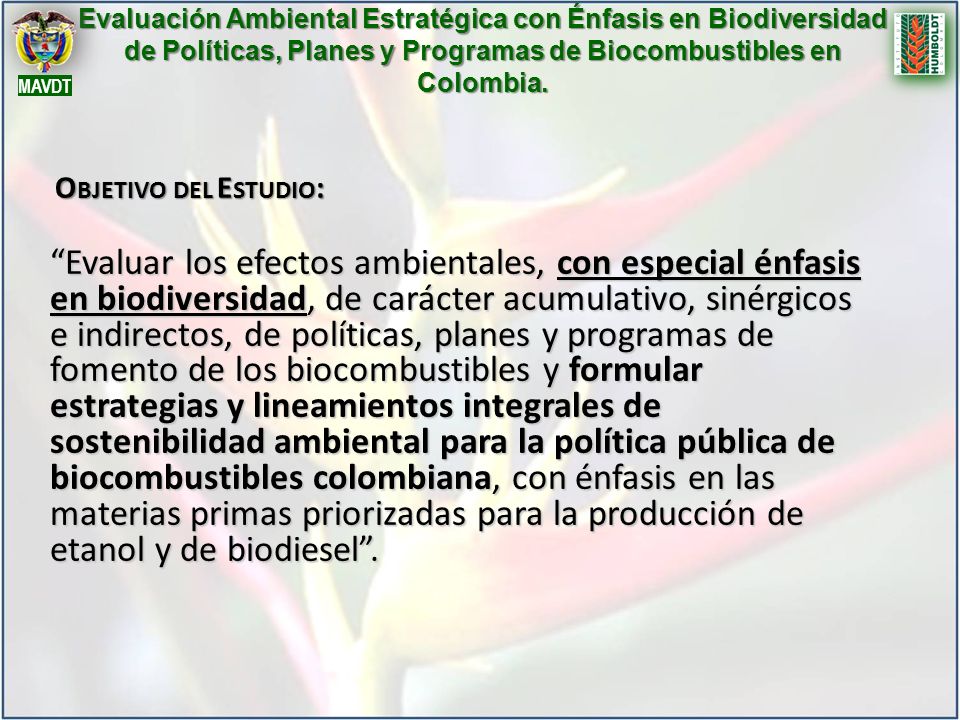 Evaluación Ambiental Estratégica con Énfasis en Biodiversidad de Políticas, Planes y Programas de Biocombustibles en Colombia.