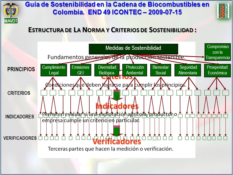Estructura de La Norma y Criterios de Sostenibilidad :