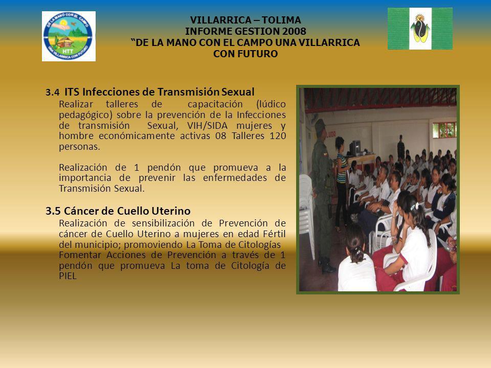 DE LA MANO CON EL CAMPO UNA VILLARRICA CON FUTURO