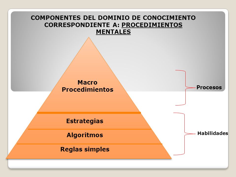 COMPONENTES DEL DOMINIO DE CONOCIMIENTO CORRESPONDIENTE A: PROCEDIMIENTOS MENTALES