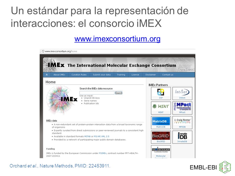 Un estándar para la representación de interacciones: el consorcio iMEX