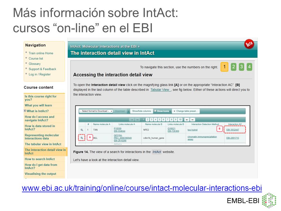 Más información sobre IntAct: cursos on-line en el EBI