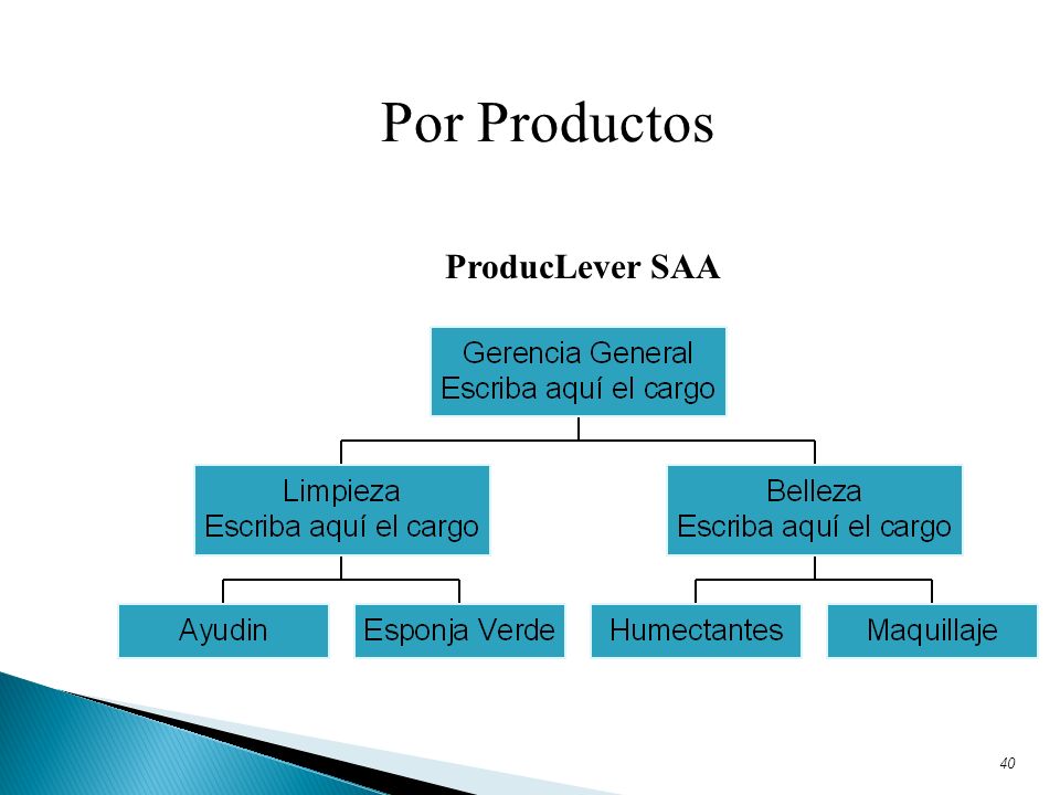 Por Productos ProducLever SAA