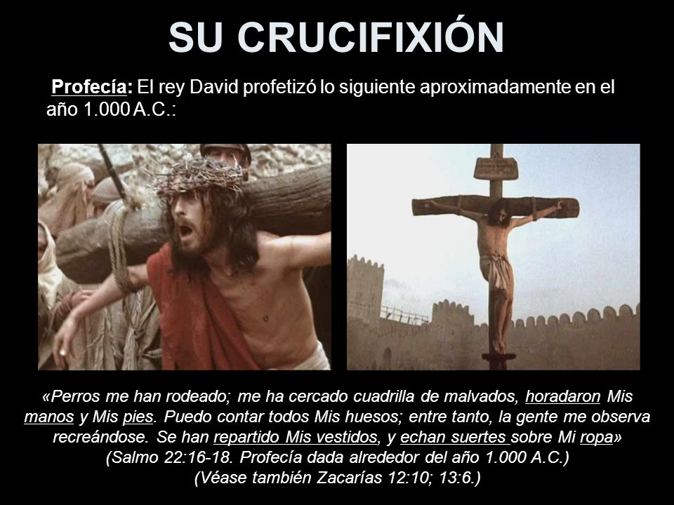 SU CRUCIFIXIÓN Profecía: El rey David profetizó lo siguiente aproximadamente en el año A.C.: